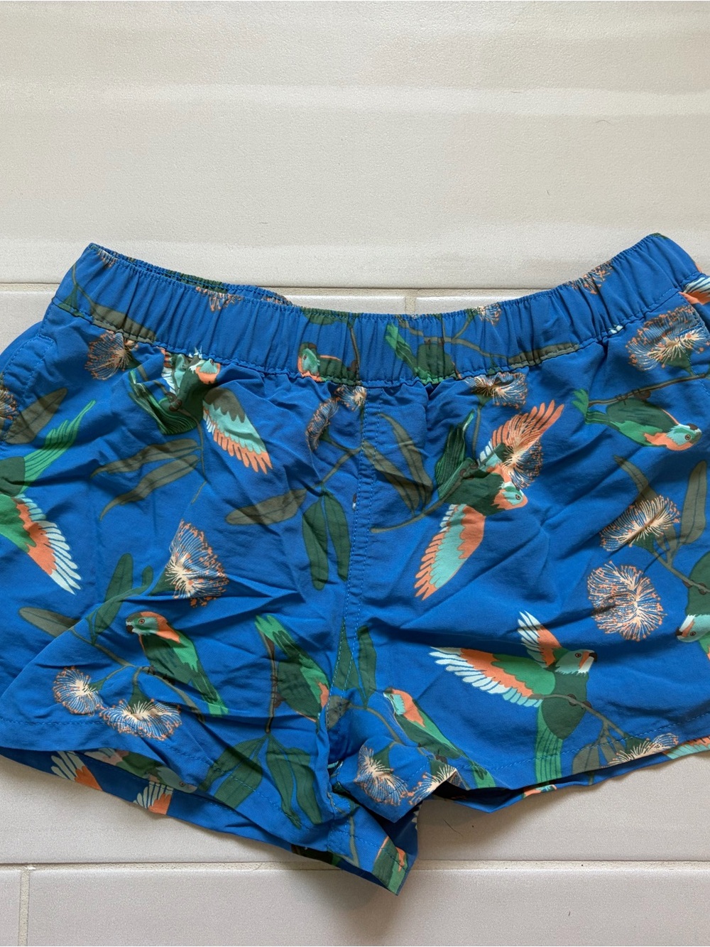 Patagonia Blue Parrot Print Women’s Athletic Shorts